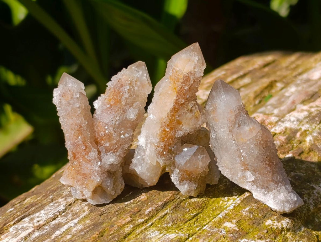 Natural Fairy Spirit Quartz Crystals x 70 From Boekenhouthoek, South Africa