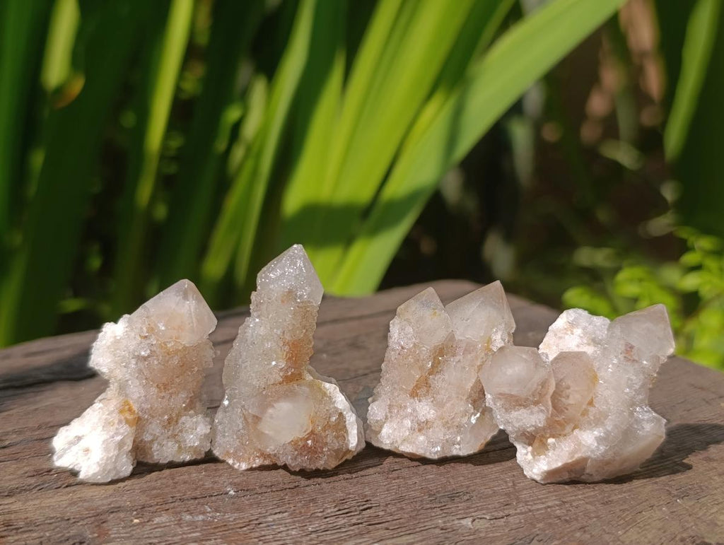 Natural Fairy Spirit Quartz Crystals x 70 From Boekenhouthoek, South Africa