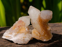 Natural Fairy Spirit Quartz Crystals x 70 From Boekenhouthoek, South Africa