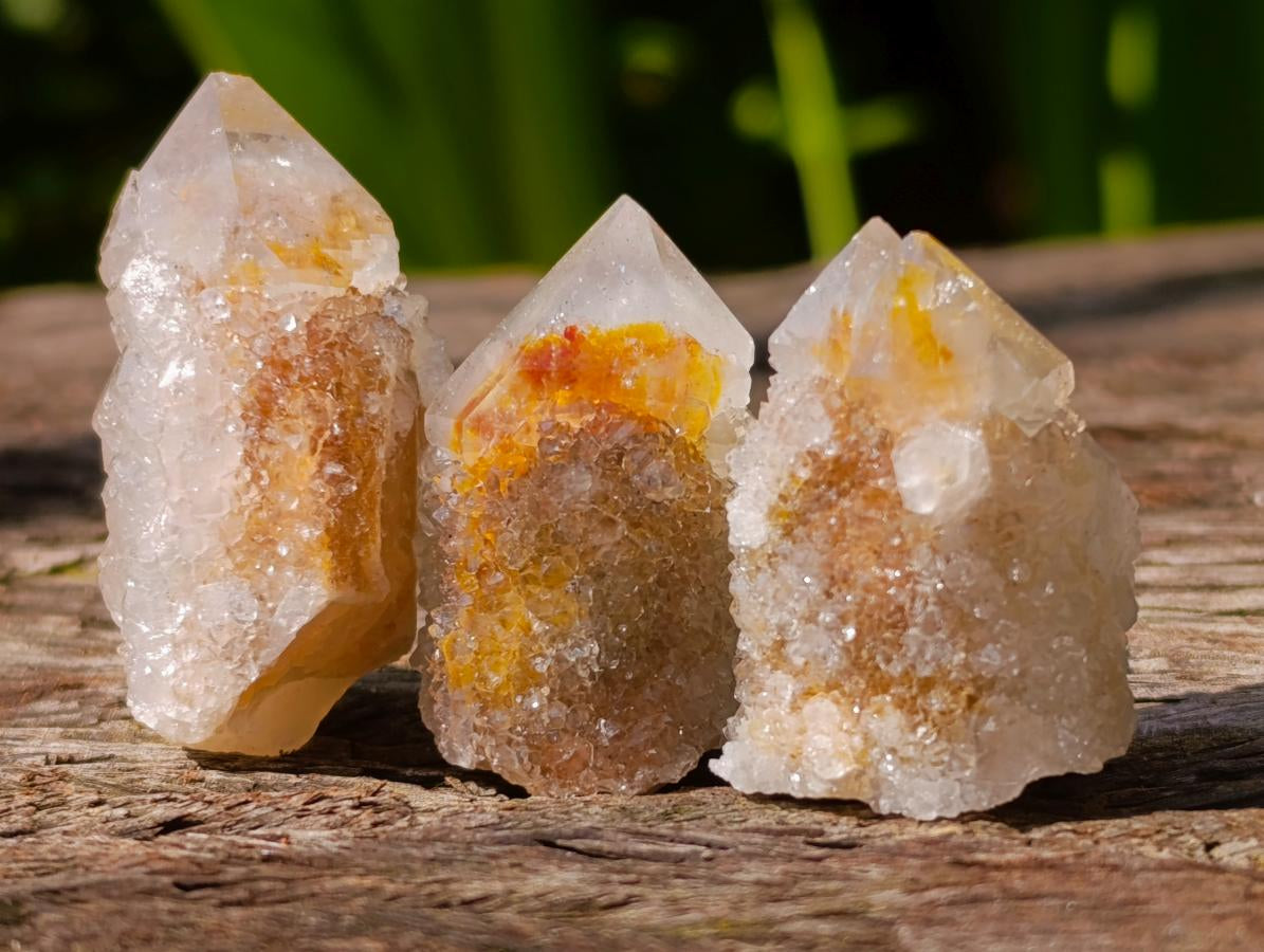 Natural Fairy Spirit Quartz Crystals x 70 From Boekenhouthoek, South Africa