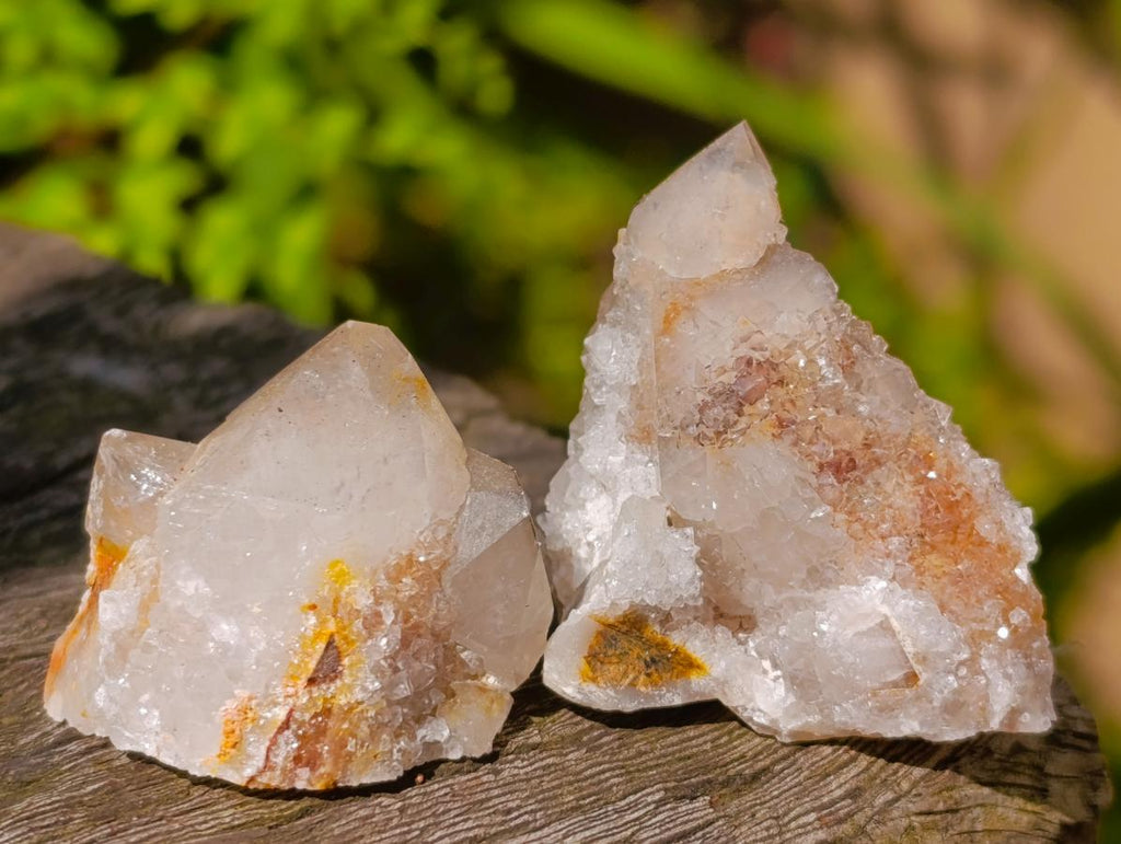 Natural Fairy Spirit Quartz Crystals x 70 From Boekenhouthoek, South Africa
