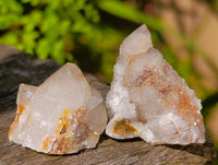 Natural Fairy Spirit Quartz Crystals x 70 From Boekenhouthoek, South Africa