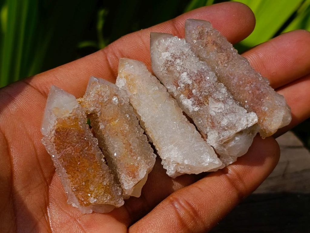 Natural Fairy Spirit Quartz Crystals x 70 From Boekenhouthoek, South Africa