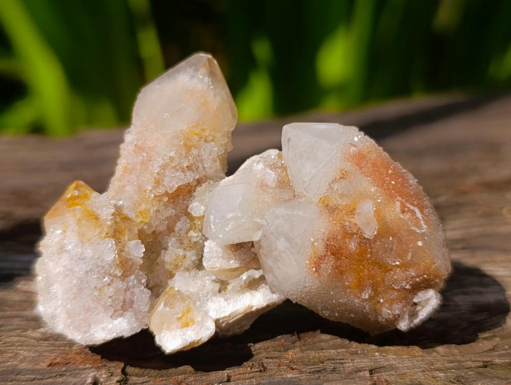 Natural Fairy Spirit Quartz Crystals x 70 From Boekenhouthoek, South Africa