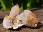 Natural Fairy Spirit Quartz Crystals x 70 From Boekenhouthoek, South Africa