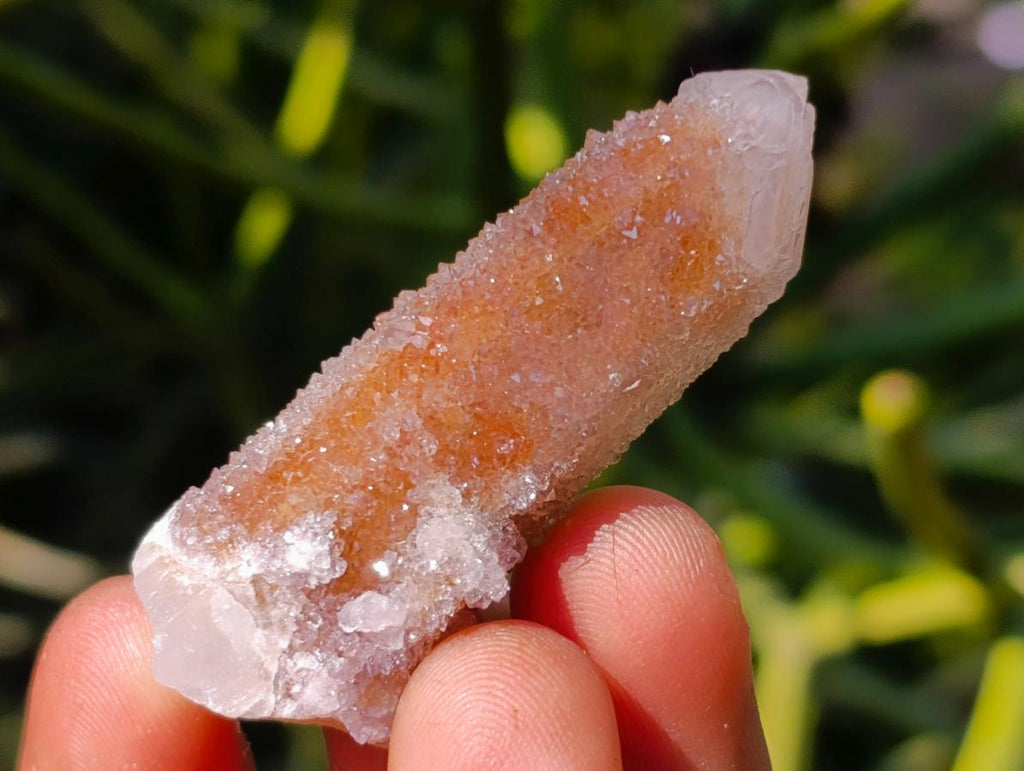 Natural Fairy Spirit Quartz Crystals x 70 From Boekenhouthoek, South Africa