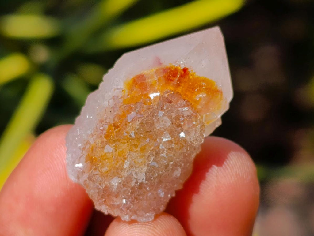 Natural Fairy Spirit Quartz Crystals x 70 From Boekenhouthoek, South Africa