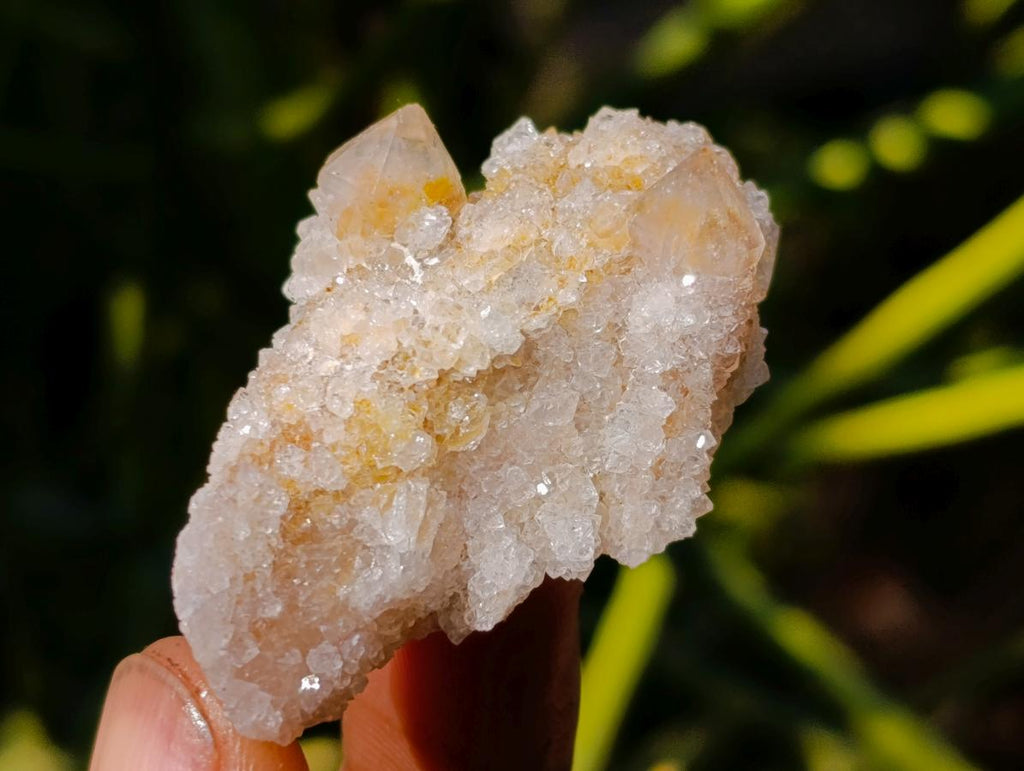 Natural Fairy Spirit Quartz Crystals x 70 From Boekenhouthoek, South Africa