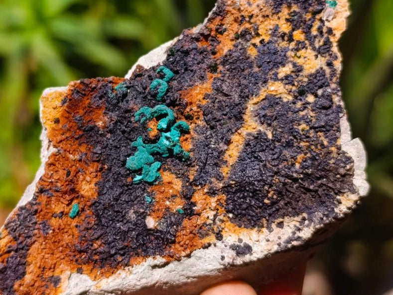 Natural Libethenite Crystals On Dolomite Matrix Specimens x 2 From Shituru, Congo