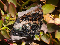 Natural Libethenite Crystals On Dolomite Matrix Specimens x 2 From Shituru, Congo