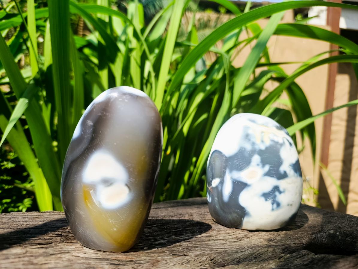 Polished Snow Orca Agate Standing Free Forms x 3 From Madagascar