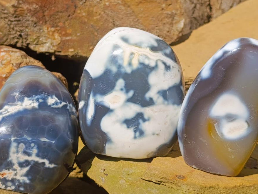 Polished Snow Orca Agate Standing Free Forms x 3 From Madagascar