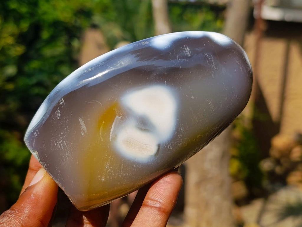 Polished Snow Orca Agate Standing Free Forms x 3 From Madagascar