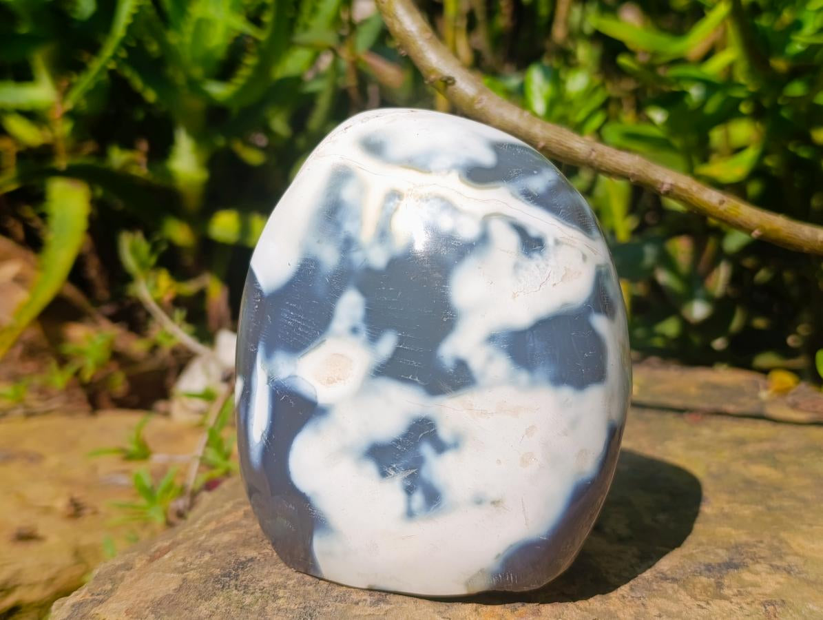 Polished Snow Orca Agate Standing Free Forms x 3 From Madagascar