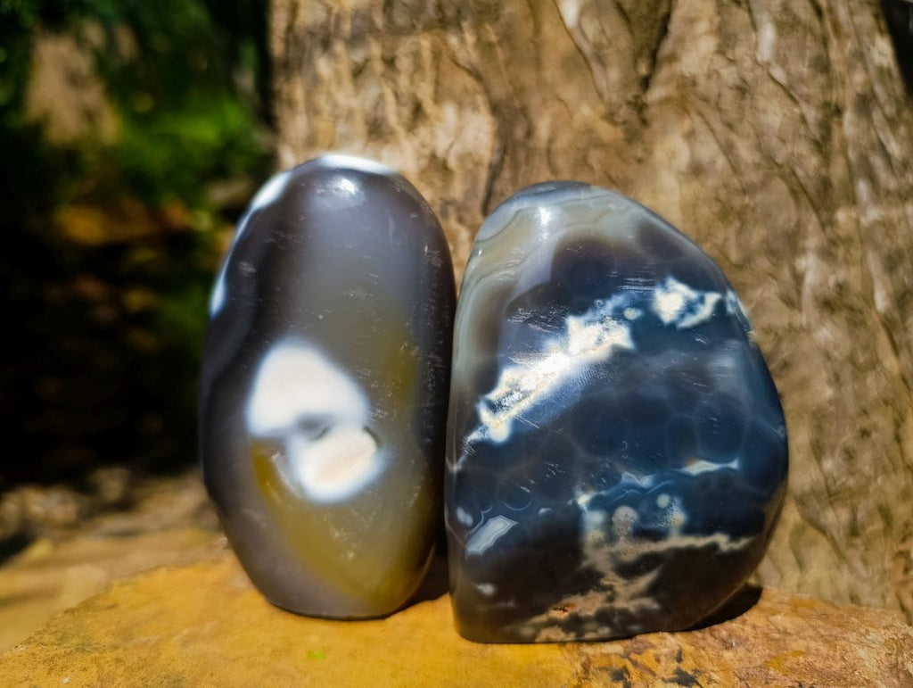 Polished Snow Orca Agate Standing Free Forms x 3 From Madagascar
