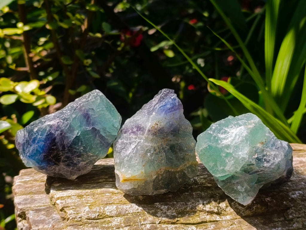 Natural Watermelon Fluorite Cobbed Specimens x 24 From Uis, Namibia