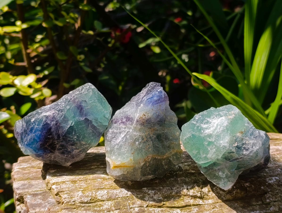Natural Watermelon Fluorite Cobbed Specimens x 24 From Uis, Namibia