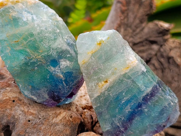 Natural Watermelon Fluorite Cobbed Specimens x 24 From Uis, Namibia