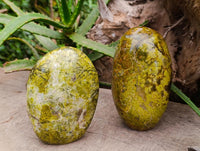 Polished Green Opal Standing Free Forms x 2 From Betroka, Madagascar