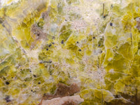Polished Green Opal Standing Free Forms x 2 From Betroka, Madagascar