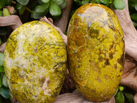 Polished Green Opal Standing Free Forms x 2 From Betroka, Madagascar