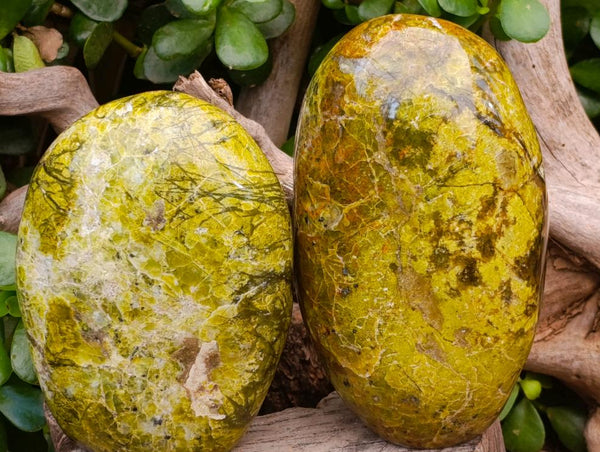 Polished Green Opal Standing Free Forms x 2 From Betroka, Madagascar