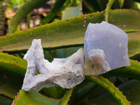 Natural Etched Blue Chalcedony Specimens x 12 From Nsanje, Malawi