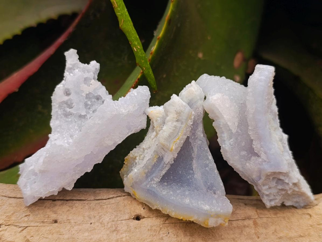 Natural Etched Blue Chalcedony Specimens x 12 From Nsanje, Malawi