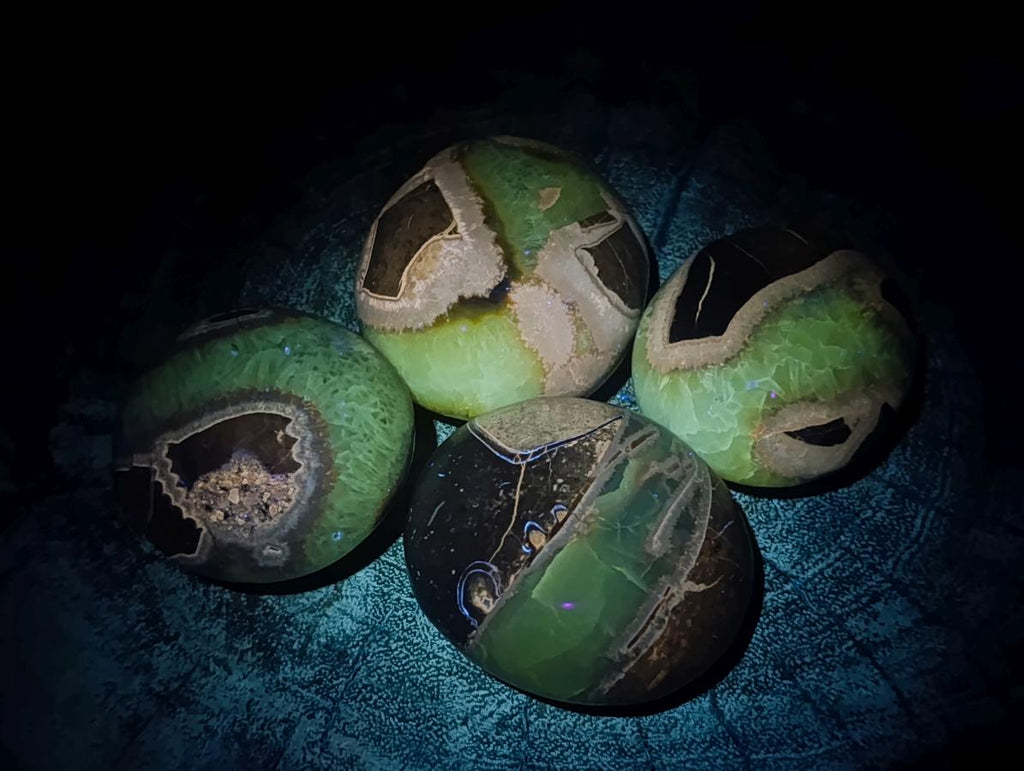 Polished Septerye Palm Stones x 12 From Mahajanga, Madagascar