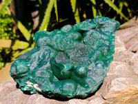 Natural Large Botryoidal Malachite Specimen x 1 From Congo