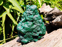 Natural Large Botryoidal Malachite Specimen x 1 From Congo