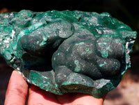 Natural Large Botryoidal Malachite Specimen x 1 From Congo