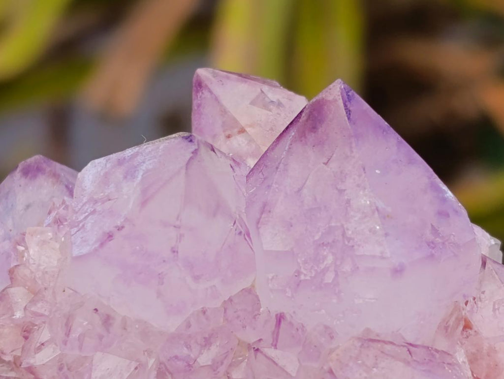 Natural Sunburst Amethyst Spirit Clusters x 20 From Boekenhouthoek, South Africa - Toprock Gemstones and Minerals 