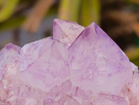 Natural Sunburst Amethyst Spirit Clusters x 20 From Boekenhouthoek, South Africa