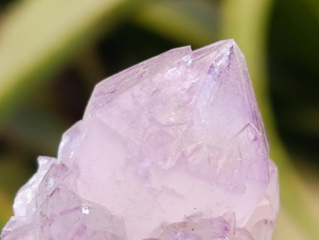 Natural Sunburst Amethyst Spirit Clusters x 20 From Boekenhouthoek, South Africa - Toprock Gemstones and Minerals 