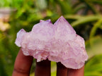 Natural Sunburst Amethyst Spirit Clusters x 20 From Boekenhouthoek, South Africa - Toprock Gemstones and Minerals 