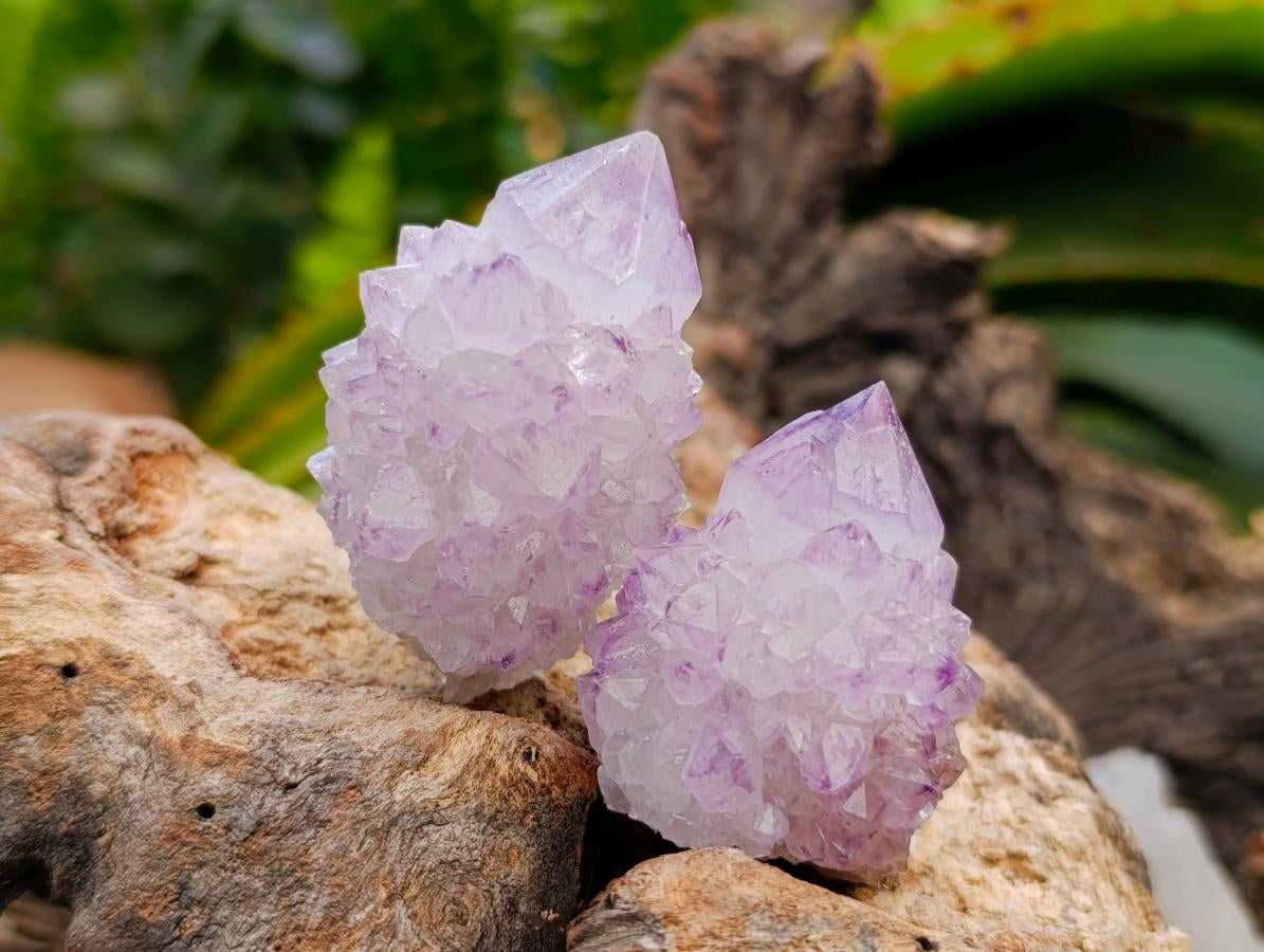 Natural Sunburst Amethyst Spirit Clusters x 20 From Boekenhouthoek, South Africa - Toprock Gemstones and Minerals 