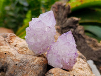 Natural Sunburst Amethyst Spirit Clusters x 20 From Boekenhouthoek, South Africa