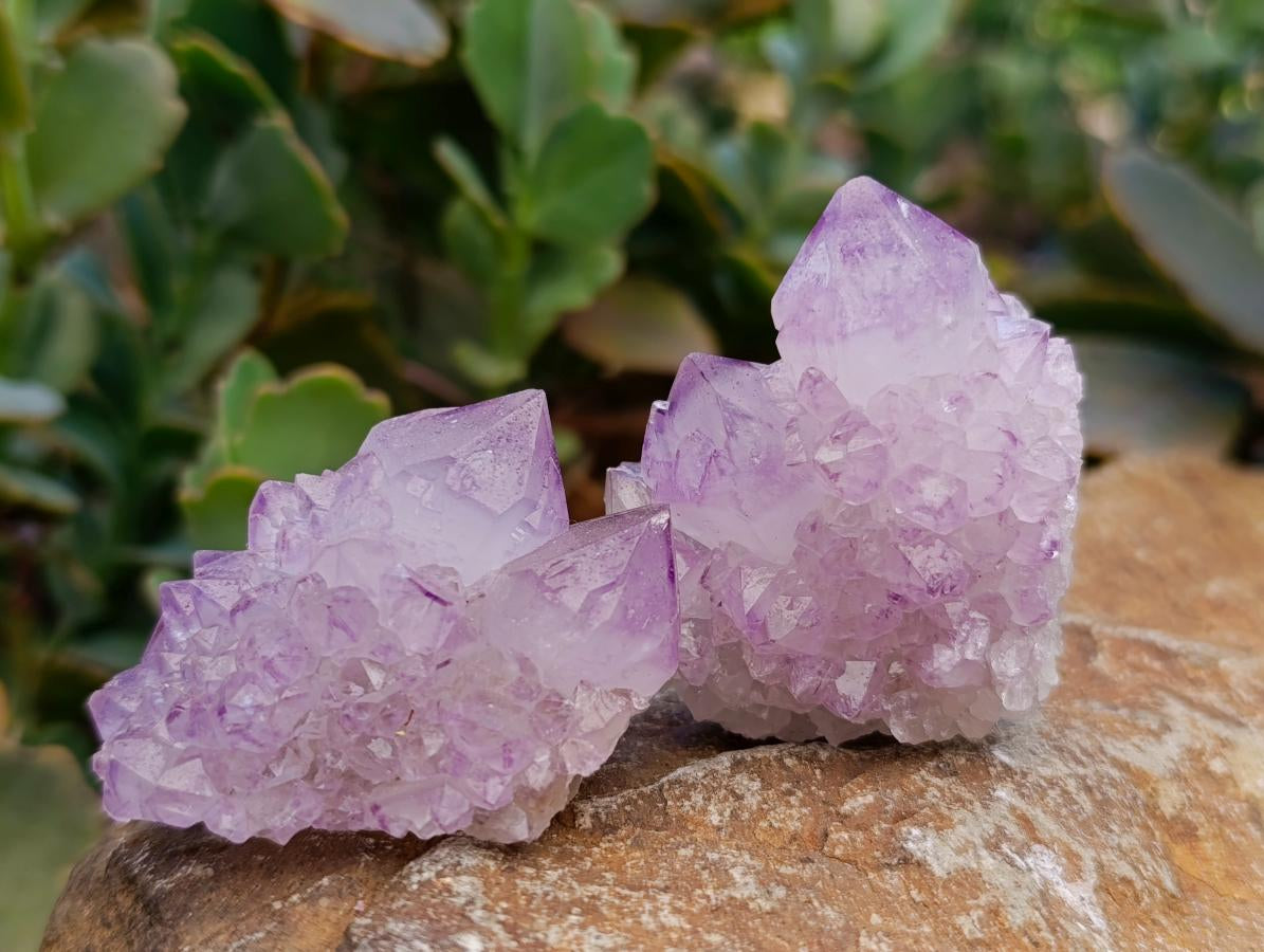 Natural Sunburst Amethyst Spirit Clusters x 20 From Boekenhouthoek, South Africa - Toprock Gemstones and Minerals 