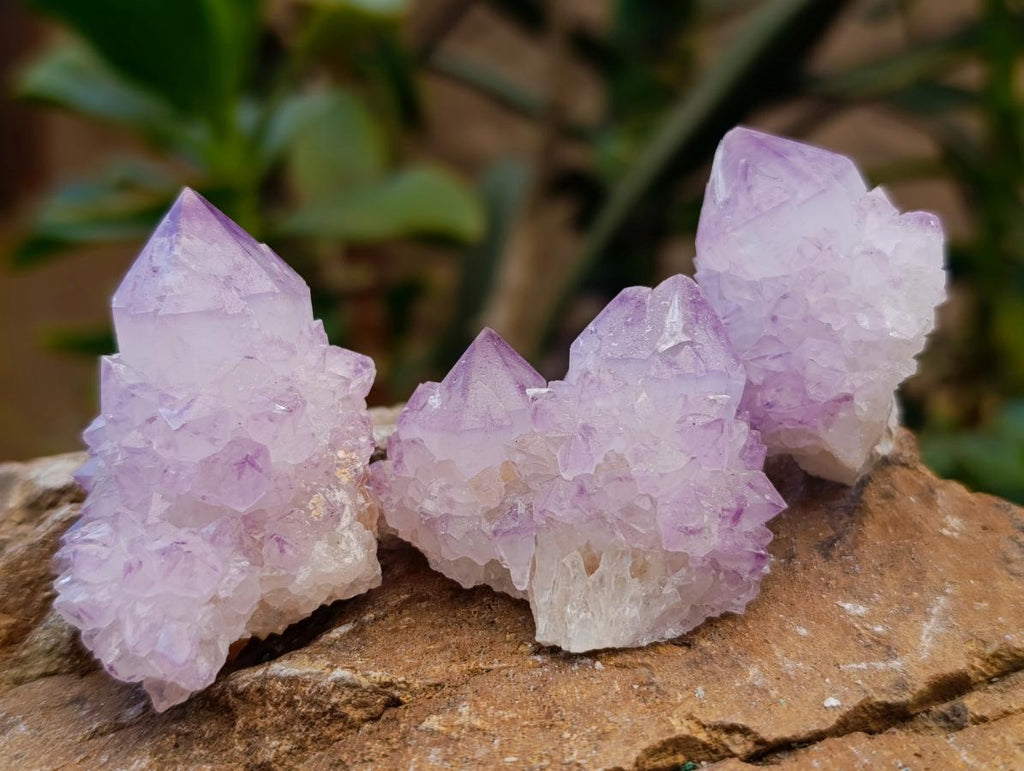 Natural Sunburst Amethyst Spirit Clusters x 20 From Boekenhouthoek, South Africa - Toprock Gemstones and Minerals 