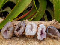 Polished Agate Geode Specimens x 5 From Madagascar