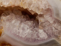 Polished Agate Geode Specimens x 5 From Madagascar