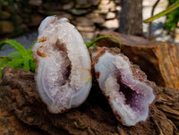 Polished Agate Geode Specimens x 5 From Madagascar
