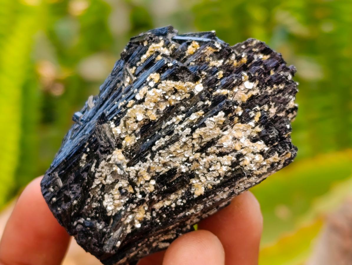 Natural Schorl Black Tourmaline Specimens x 6 From Erongo, Namibia