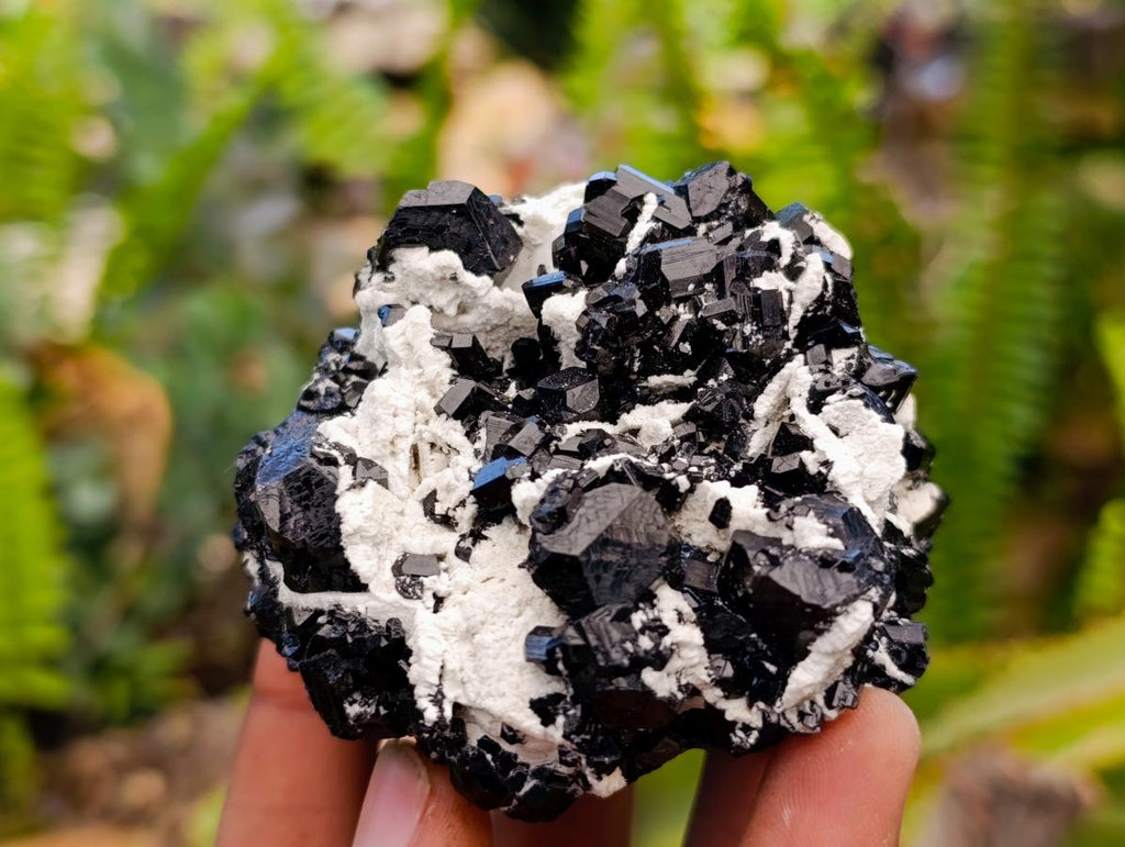 Natural Schorl Black Tourmaline Specimens x 6 From Erongo, Namibia