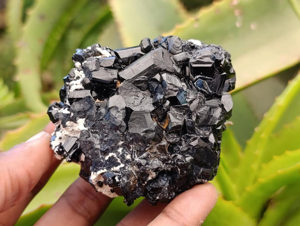Natural Schorl Black Tourmaline Specimens x 6 From Erongo, Namibia