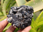 Natural Schorl Black Tourmaline Specimens x 6 From Erongo, Namibia