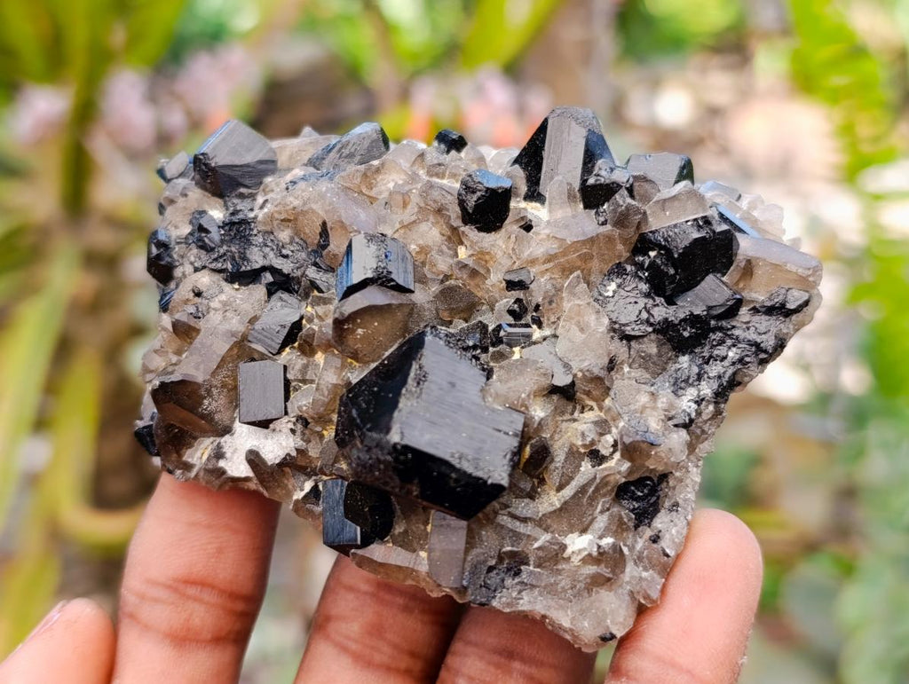 Natural Schorl Black Tourmaline Specimens x 6 From Erongo, Namibia