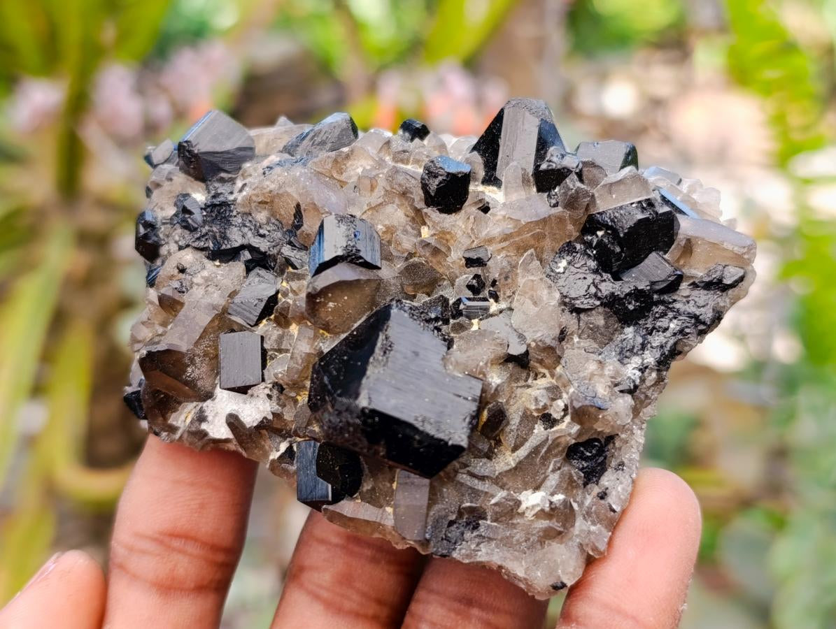 Natural Schorl Black Tourmaline Specimens x 6 From Erongo, Namibia
