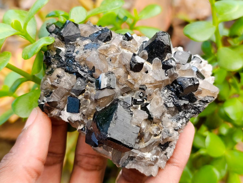 Natural Schorl Black Tourmaline Specimens x 6 From Erongo, Namibia